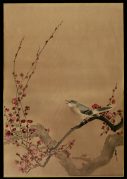 Oriental Bullfinch on Plum Blossom Branch