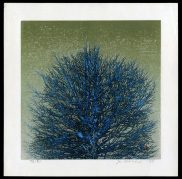 Treetop (blue)