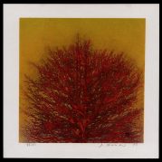 Treetop (red)