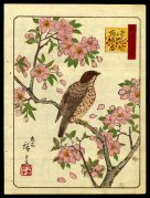 Bird on a Blossoming Branch