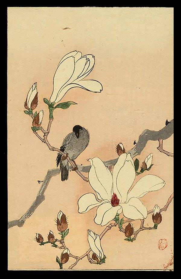 A Bird and Mokuren Koson