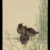 Three Birds Koson