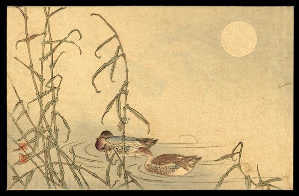 Mandarin Ducks Unread c. 1910