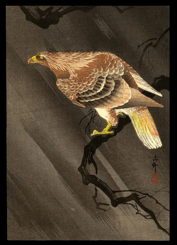 An Eagle on a Tree Koson