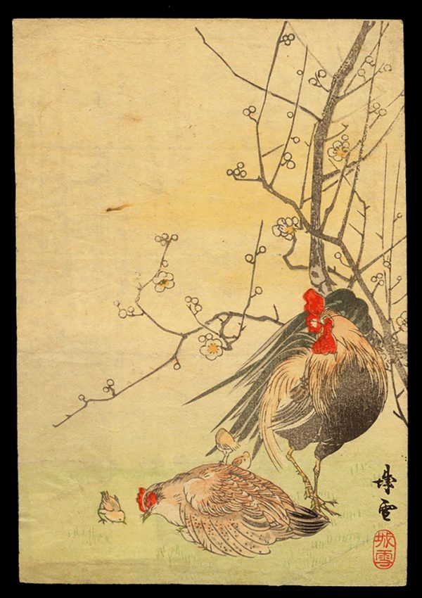 Cock and Hen with Chickens Under a Plum-tree Unread c. 1910