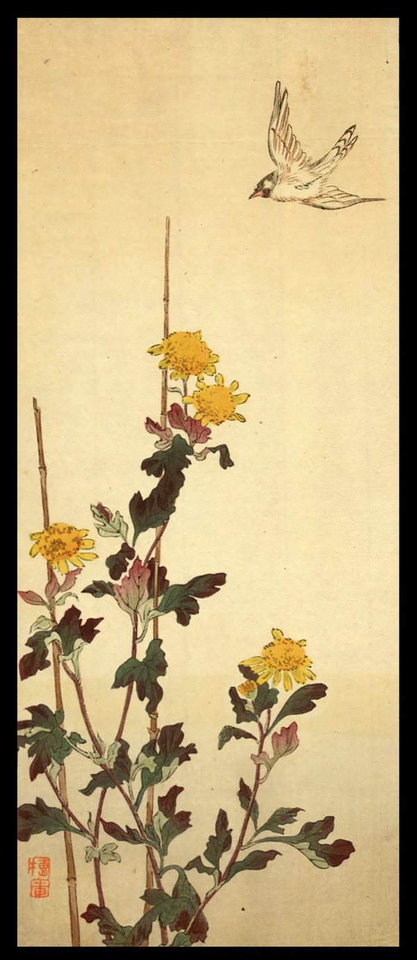 Bird Flying over Chrysanthemum Unread c. 1910