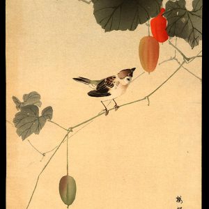 Sparrow on a Vine of Wild Melons Koson