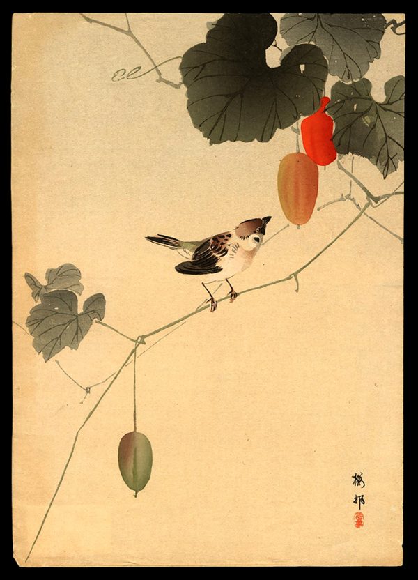 Sparrow on a Vine of Wild Melons Koson