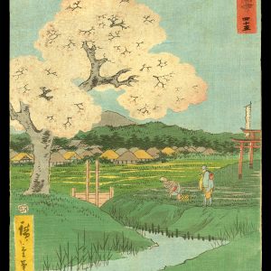 Ishiyakushi Hiroshige