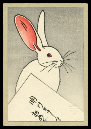 Rabbit