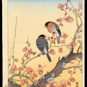 Plum Blossoms and Oriental Bullfinch Shoson