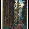 The Nikko Highway Hasui