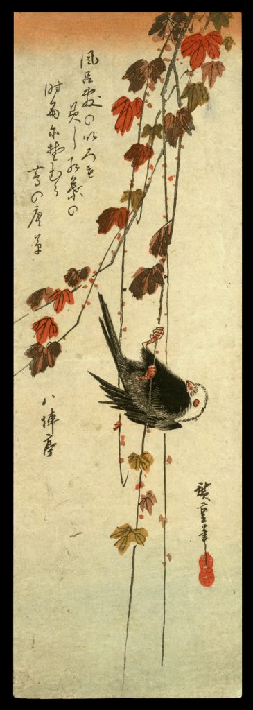 White-headed Bird Clinging to Ivy Vine Hiroshige