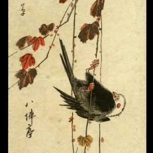 White-headed Bird Clinging to Ivy Vine Hiroshige