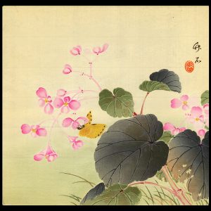 Moth and Blossoms Chikuseki