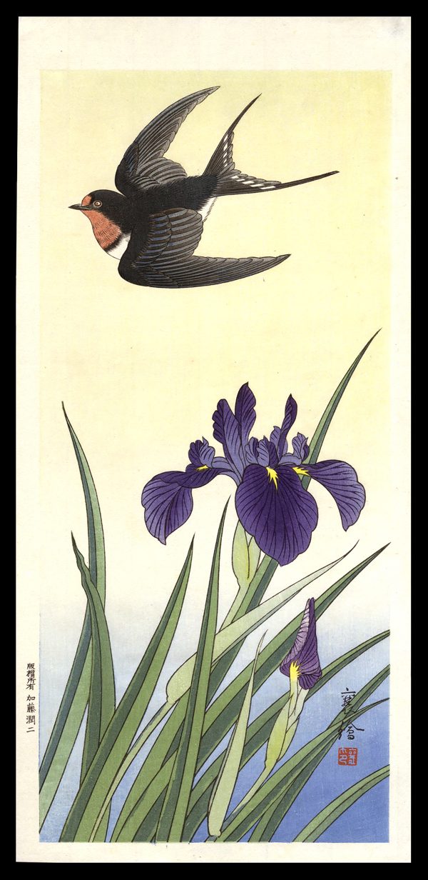 Black Bird and Iris Jo