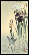 Kingfisher and Irises