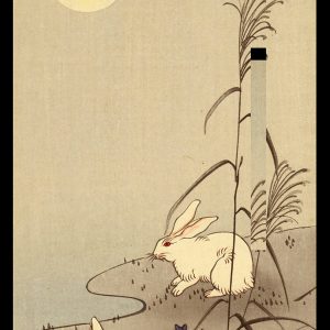 Bunnies and Moon Keinen