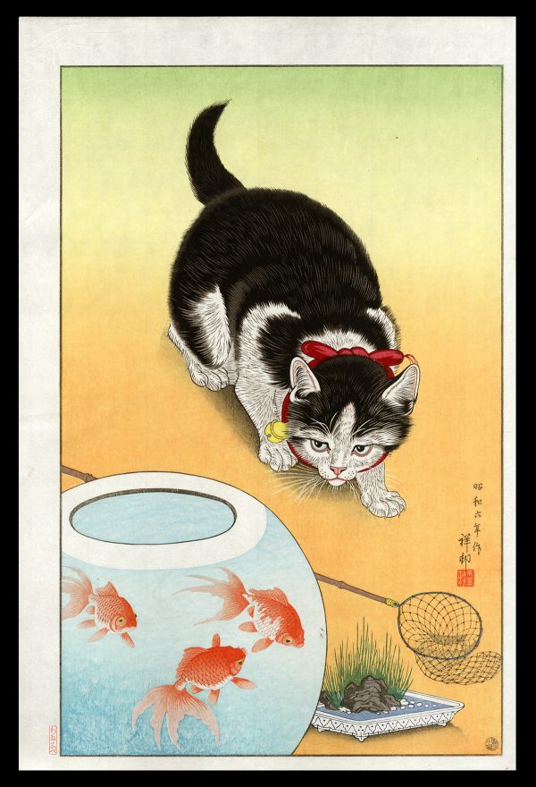 Goldfish Bowl and a Cat Shoson