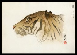 Tiger’s (Profile)