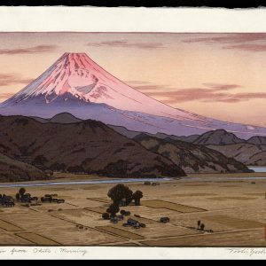 Mt. Fuji from Ohito - Morning Yoshida