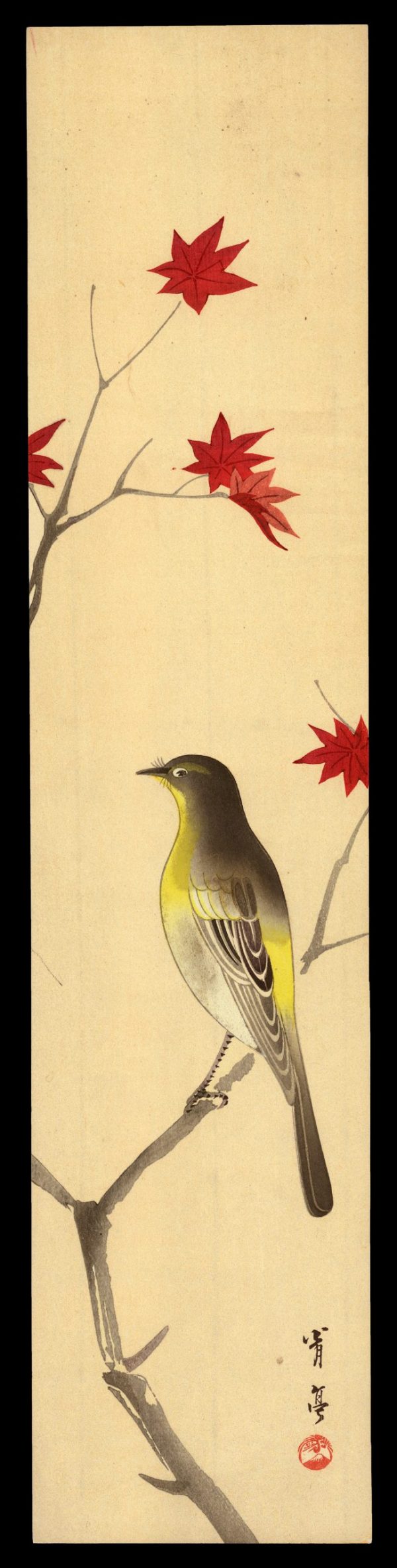 Wagtail Seitei
