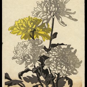 Chrysanthemums Inagaki