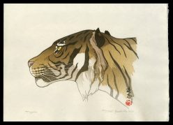 Tiger (Profile)