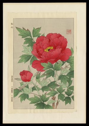 Peony Shodo