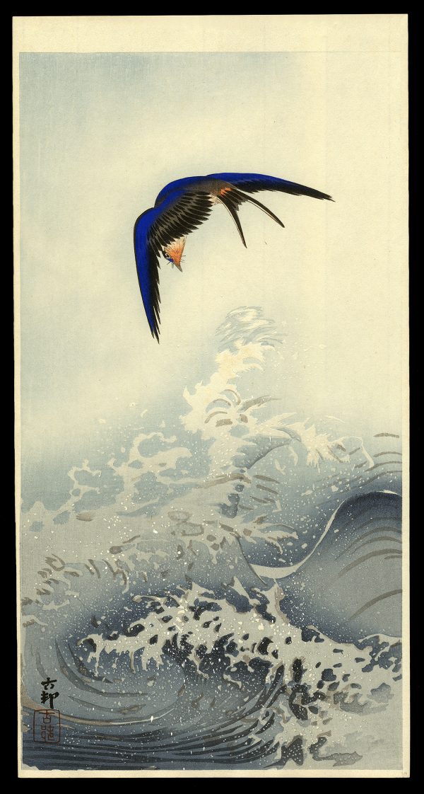 Barnswallow in Flight Above Water with Large Waves Koson