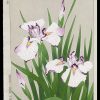 White Iris Shodo