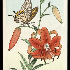 Tiger Lily and Butterfly Jo