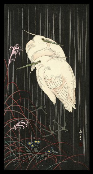 Two Egrets in Rainy Night Keinen