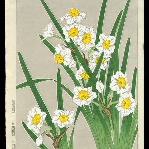 Daffodils Shodo