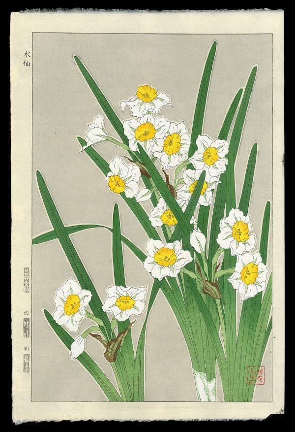 Daffodils Shodo