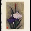 Irises