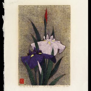 Irises