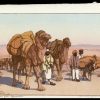 Caravan from Afganistan - Day Yoshida