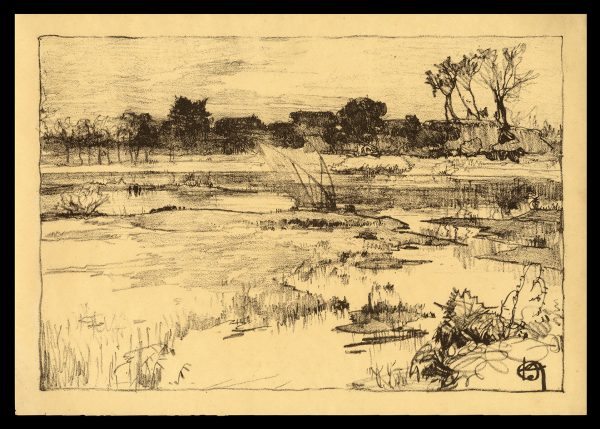 Wetlands Yoshida