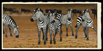 Zebra and Gnu