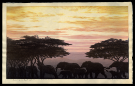 Evening in East Africa