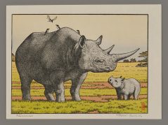 Rhinoceros