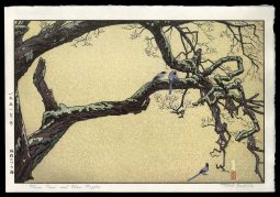 Plum Tree and Blue Magpie