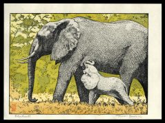 Elephants