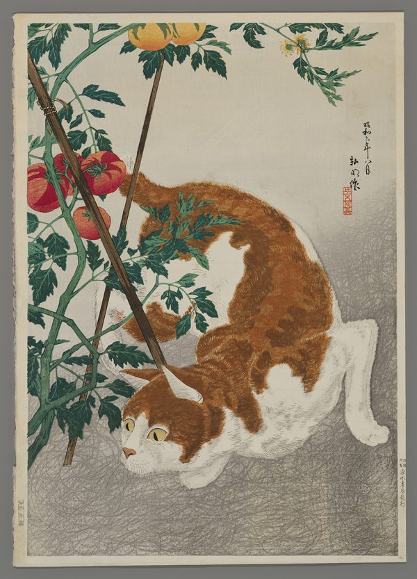 Cat and Tomato Hiroaki