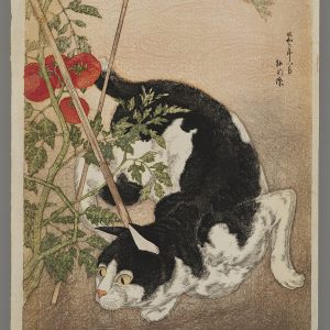Cat and Tomato Plant Hiroaki
