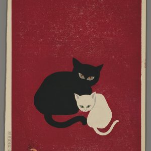 Black Cat and White Kitten Nagai