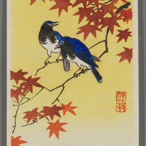 Maple Leaves and Blue White Robins. Shoson