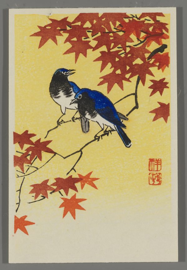 Maple Leaves and Blue White Robins. Shoson