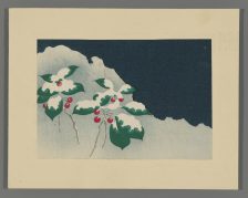 Mistletoe in Snow